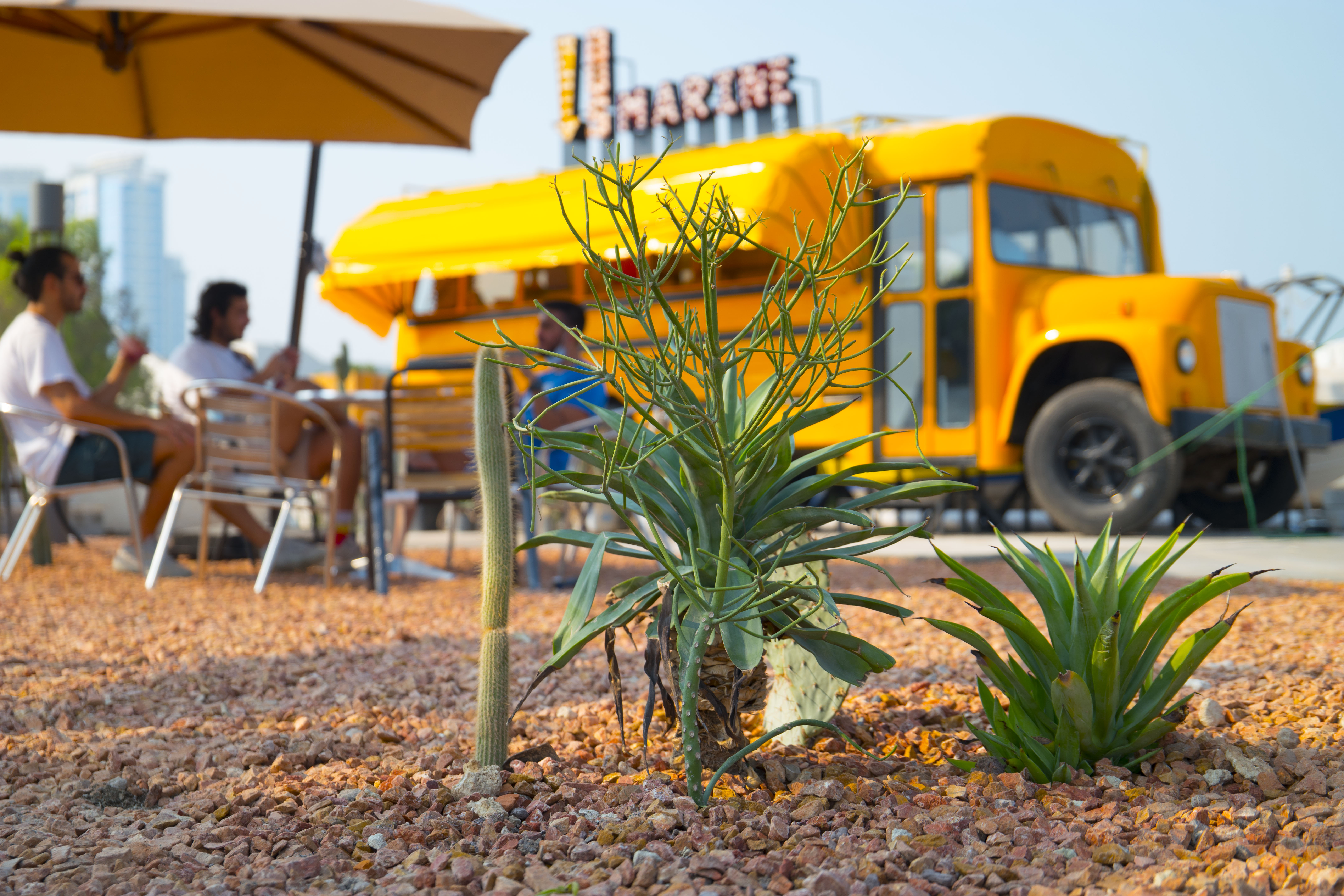 کافه باسمارین